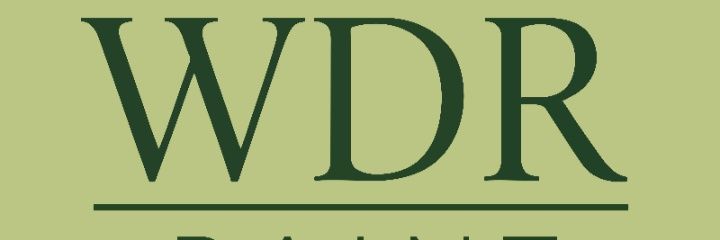 @WDRPaint 💙 banner