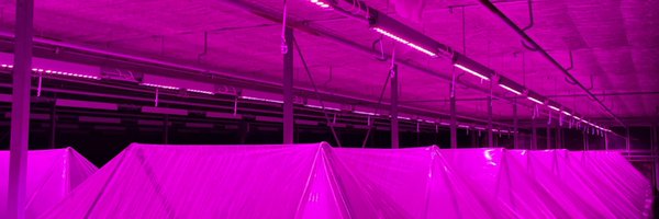 FitzNurseries Profile Banner