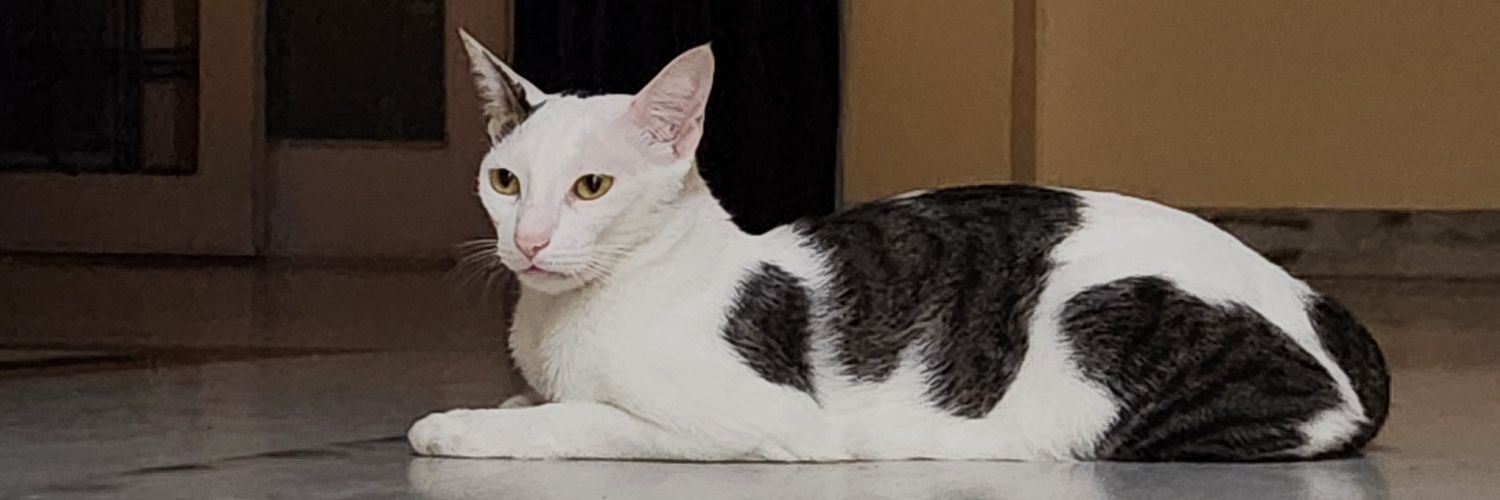 Shalin Kothari banner