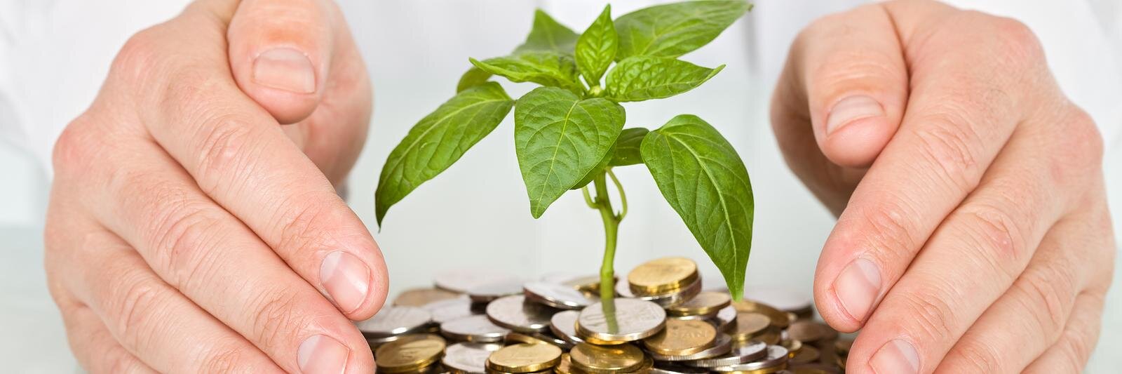 101Investment's profile banner image