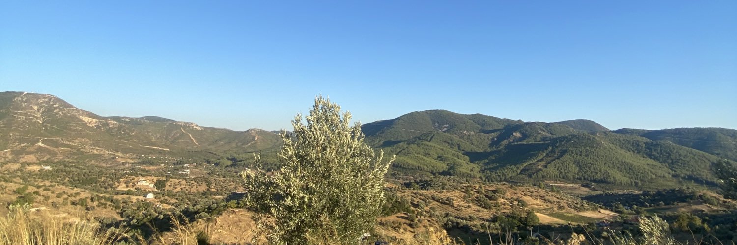 bibambii's profile banner image