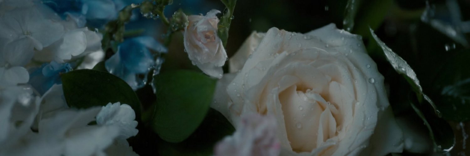 astrohoeIogy's profile banner image