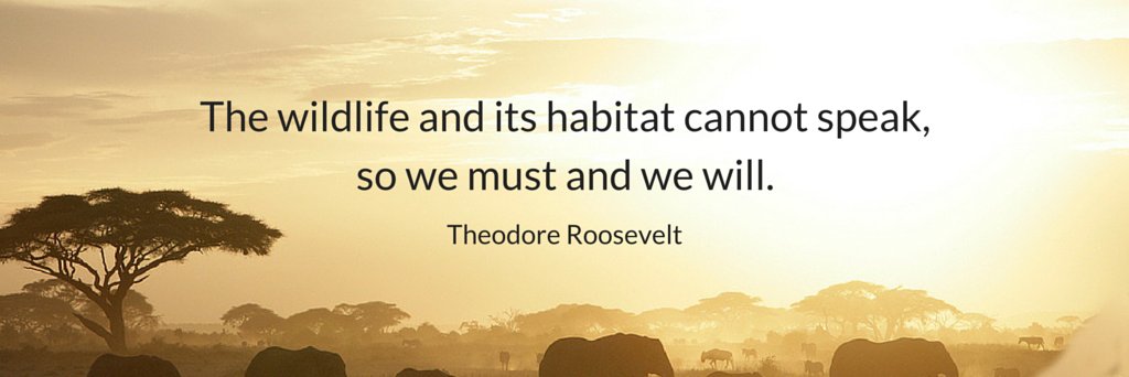 #StopGalamseyNow banner