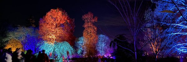 saskialeach_ Profile Banner