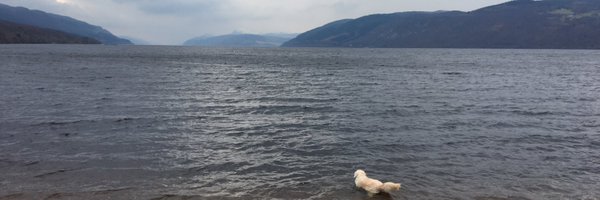 SeonaidAngel Profile Banner