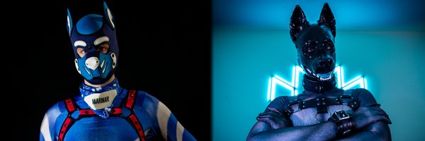 PupMurMur Profile Banner