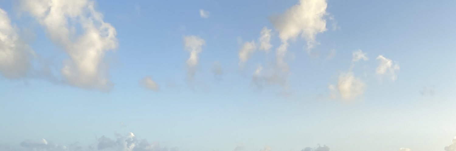 barbi_ber's profile banner image