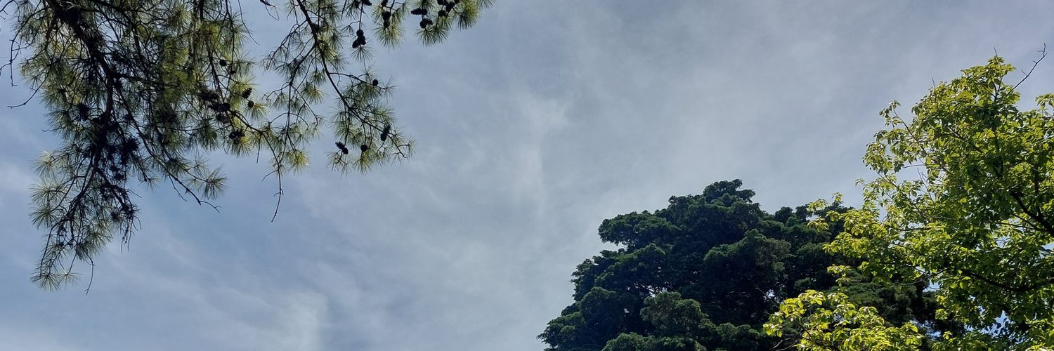 dp0mbo's profile banner image
