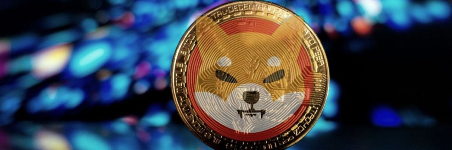 bearbricksm's profile banner image