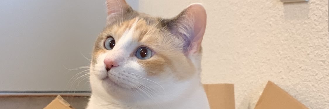 othsidury's profile banner image