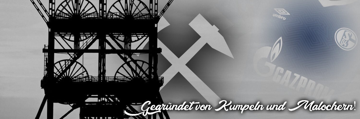Sasha banner