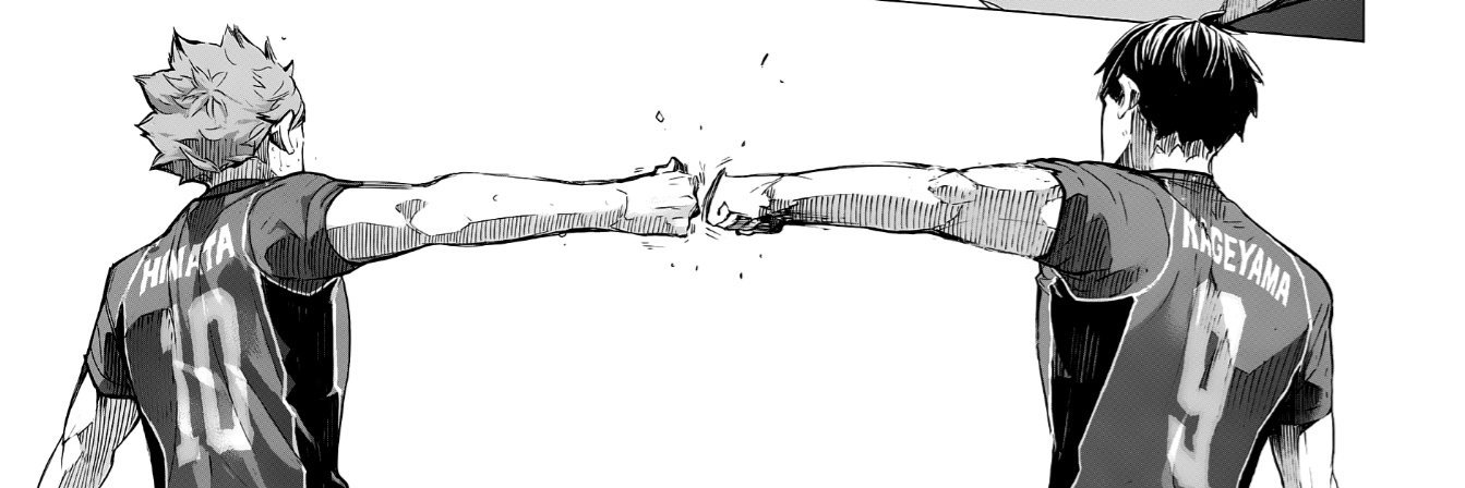 Alex banner