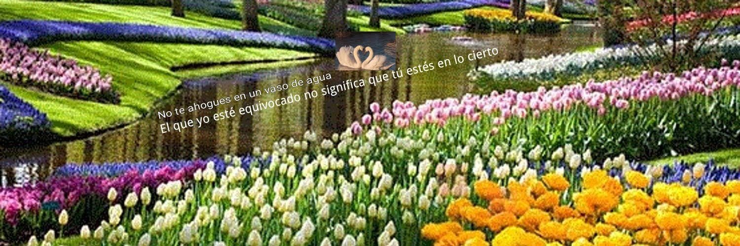 Manuel Valero Geira banner