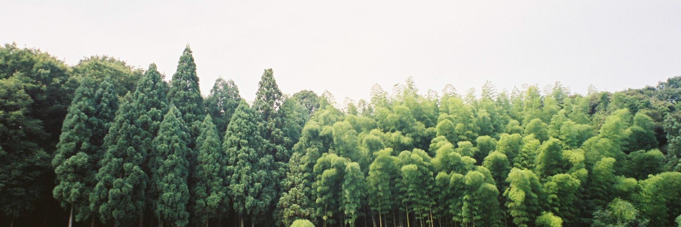 MYZKTME's profile banner image