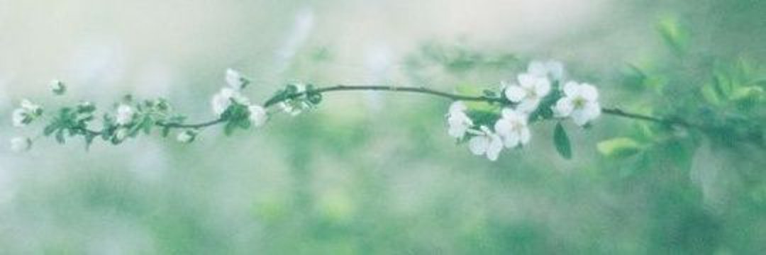 Anikomory's profile banner image