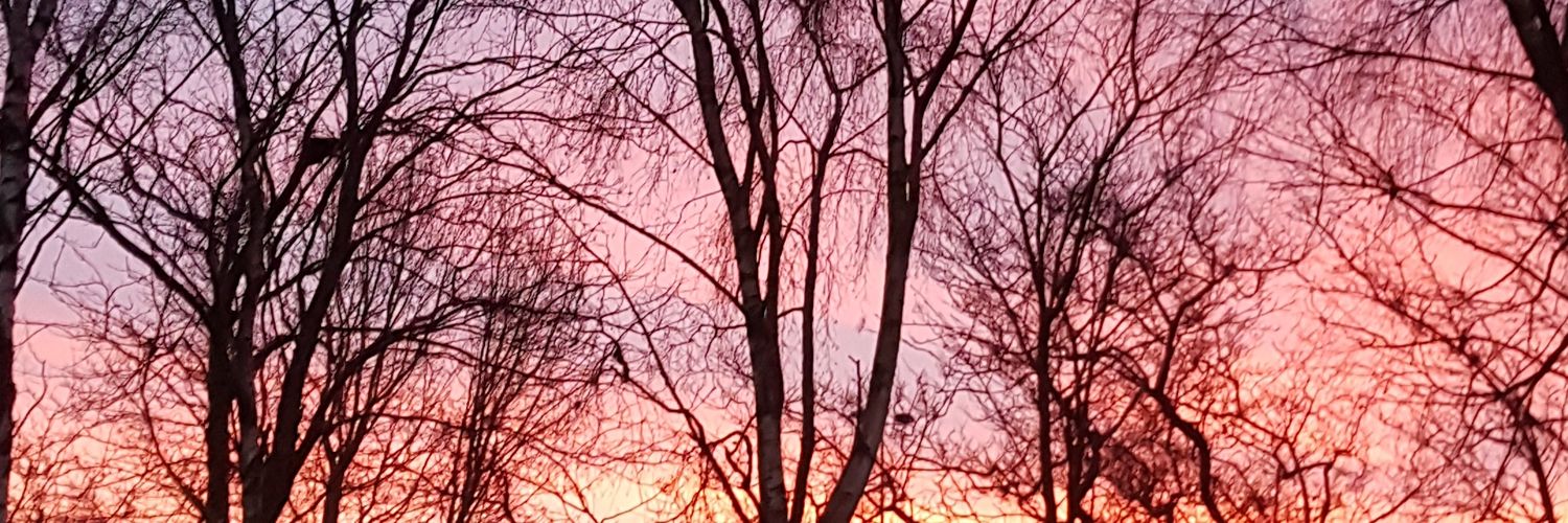 Mrs Byrne-Martin banner