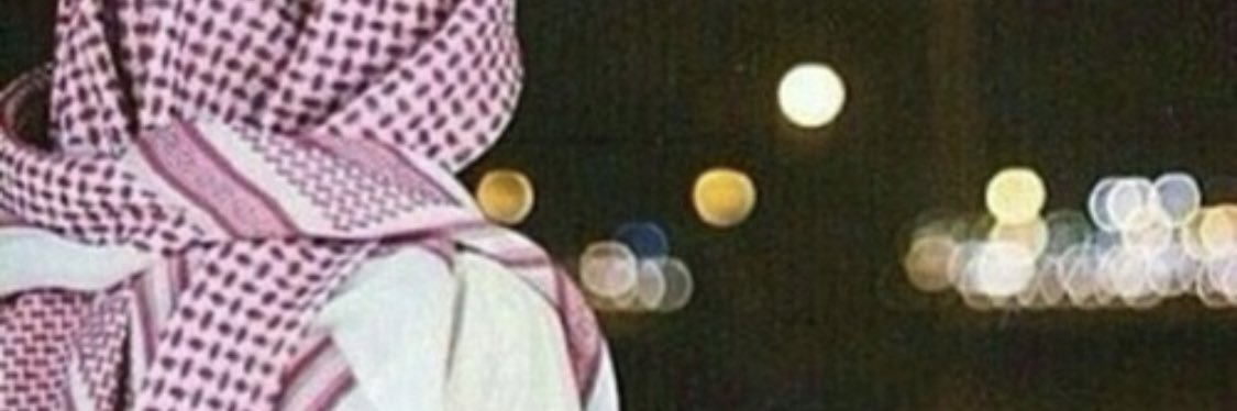 fasl29's profile banner image