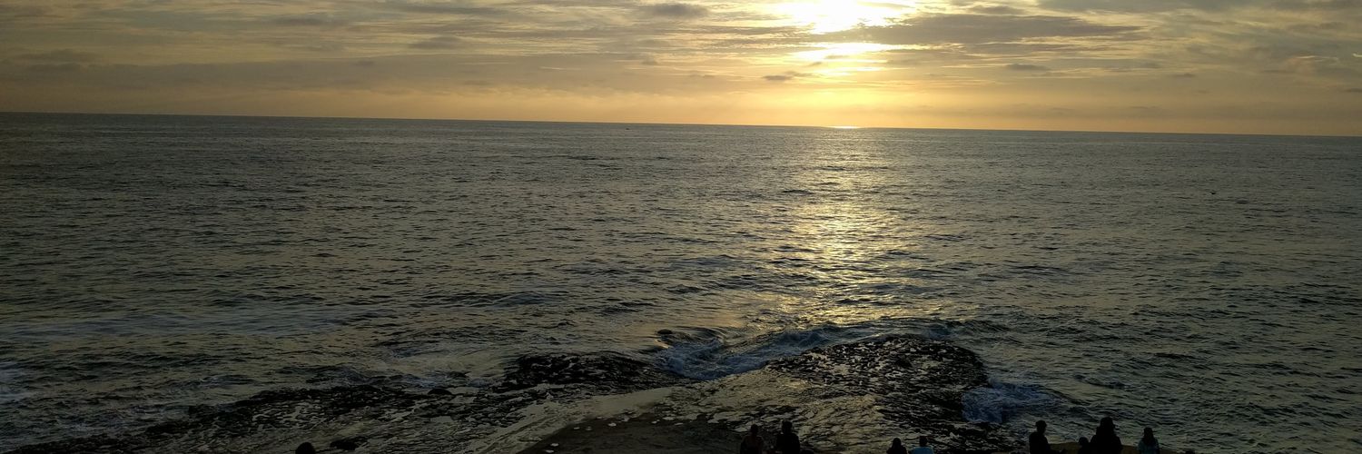 Dave the sarcastic banner