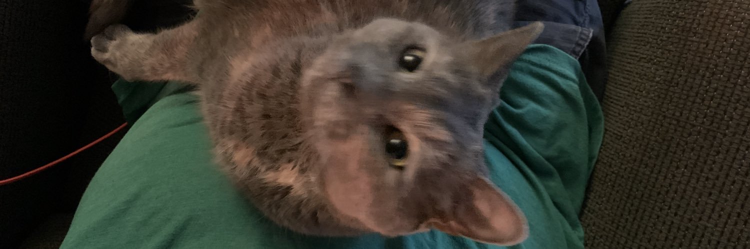 brosay's profile banner image