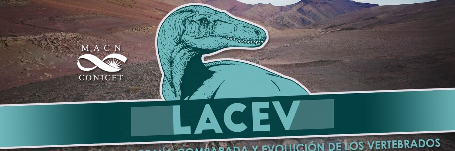 Lab. A. Comparada y Evolución de los Vertebrados banner