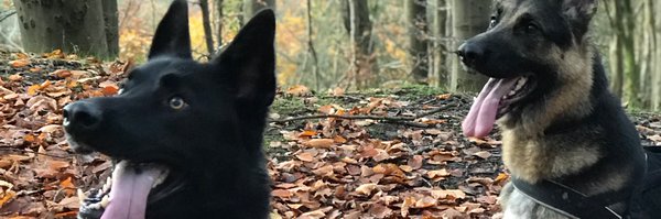 bethan_perks Profile Banner