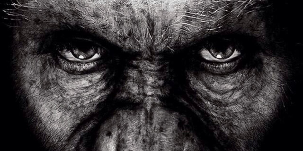 IamSiberia_'s profile banner image
