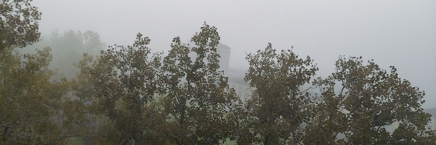 mattpeppo's profile banner image
