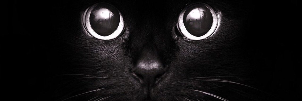 Tiny_Alibi's profile banner image