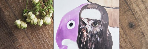 SocksOwl Profile Banner