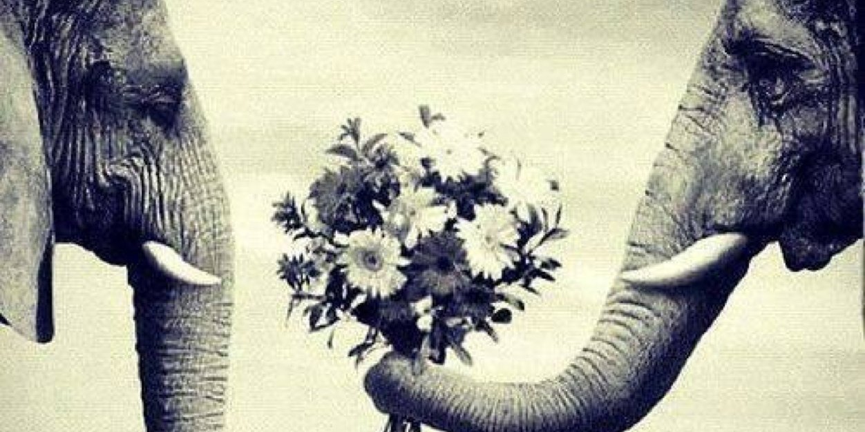 beatrizeav's profile banner image