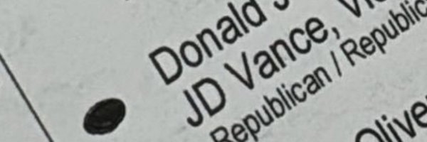 icryptofairy Profile Banner