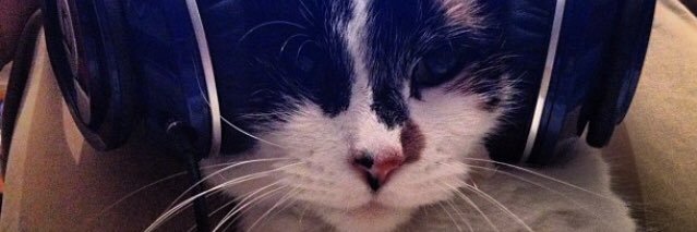 DannyBrt's profile banner image