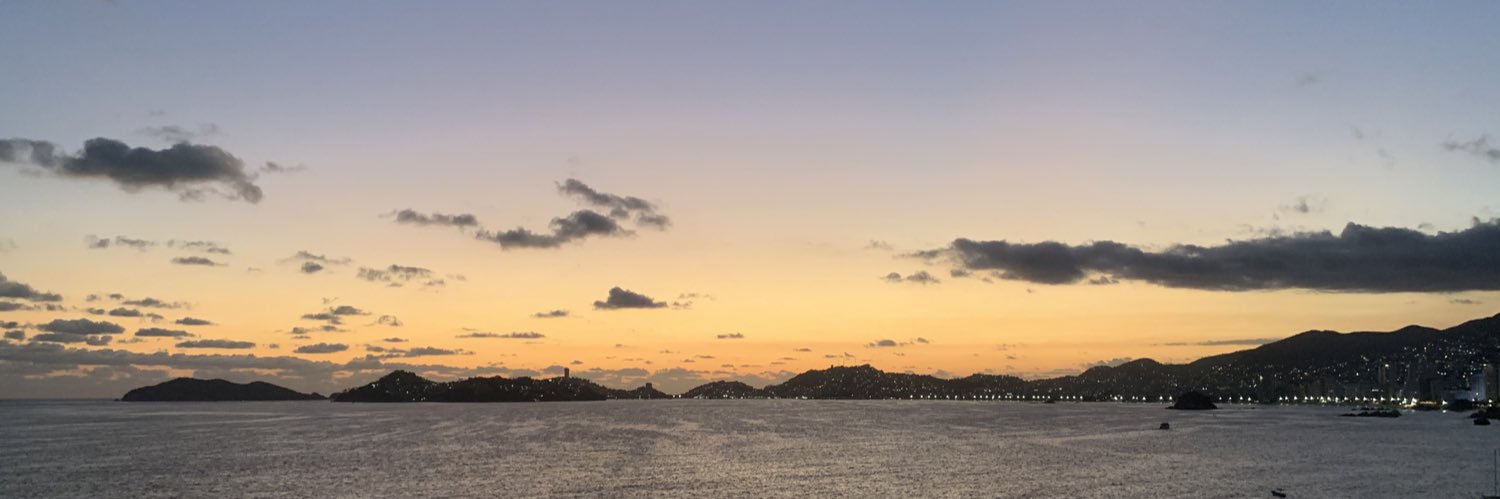 Dani Bassini banner