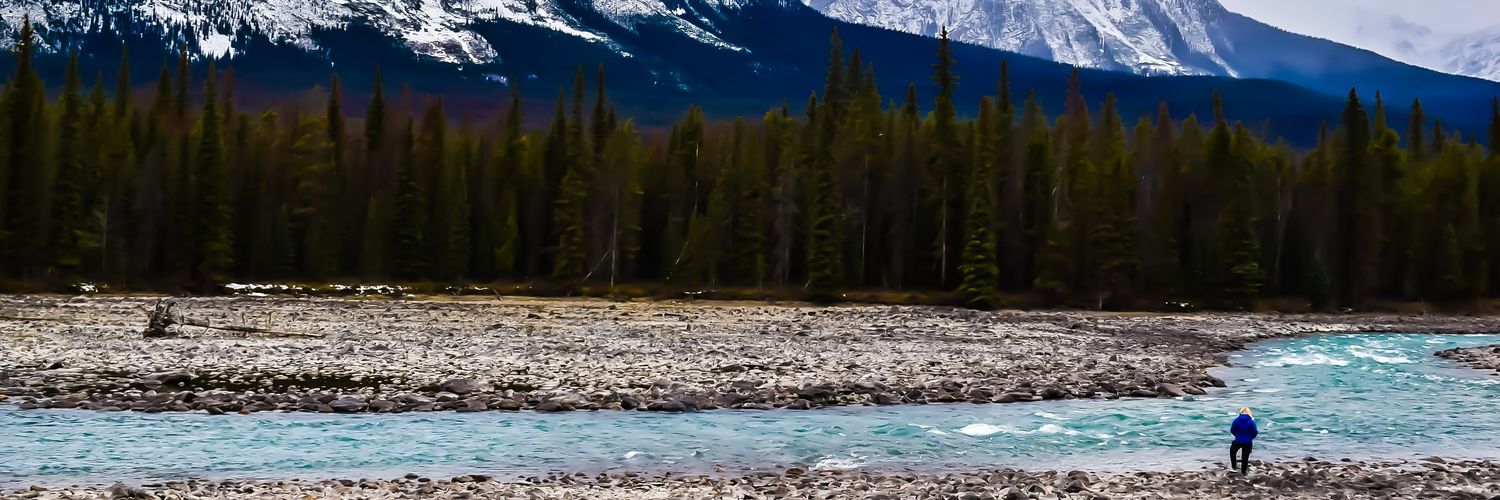 lacey_sutcliffe's profile banner image