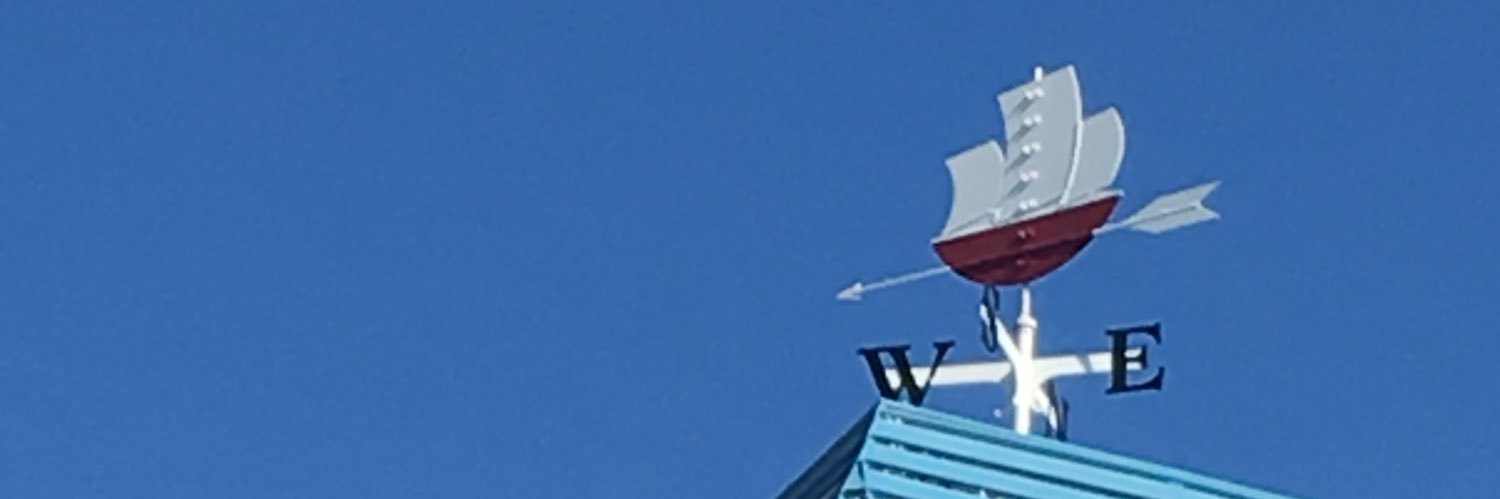 Butanomanjuu's profile banner image