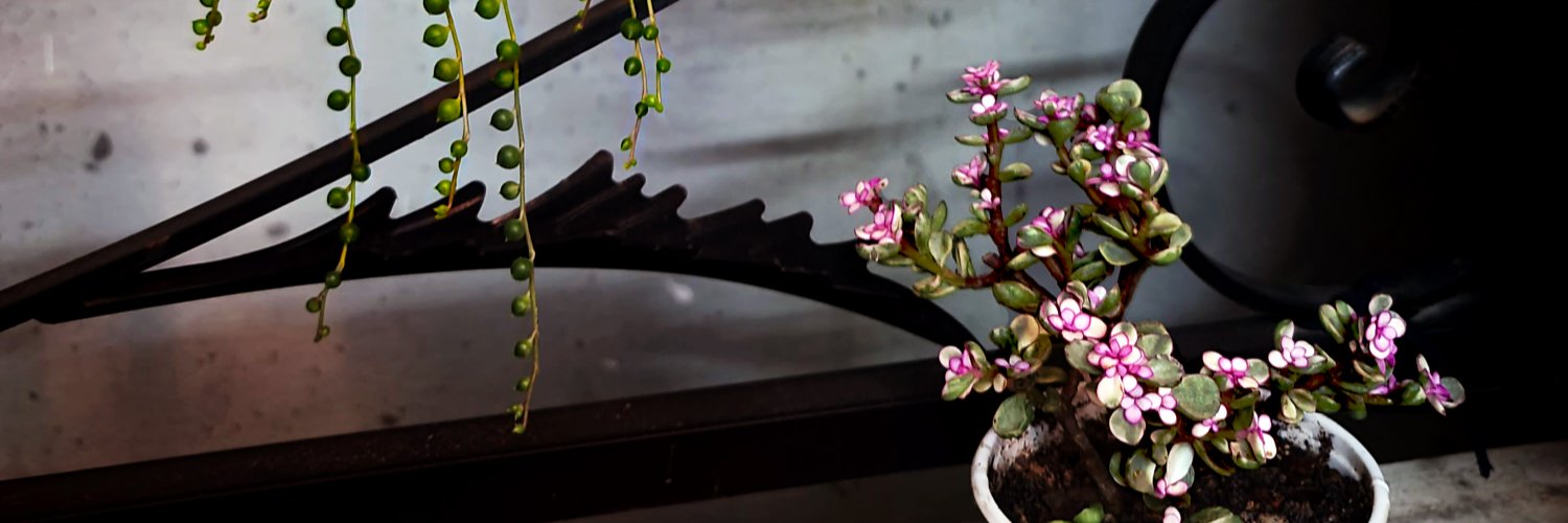 ng.v.long KGeN banner