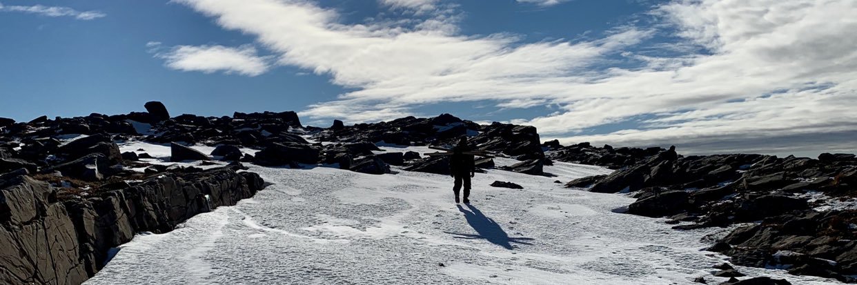Diego Pavón Jordán banner