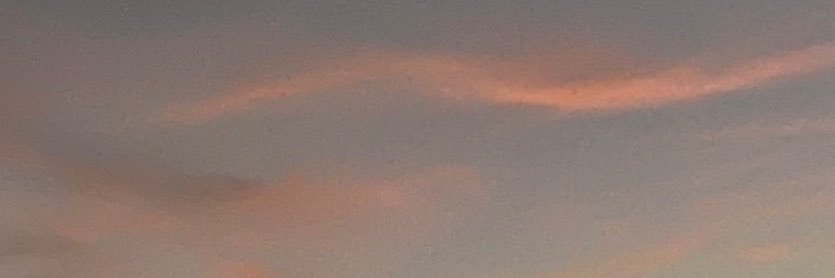 caio banner