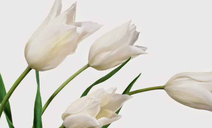 AdeNurwati's profile banner image