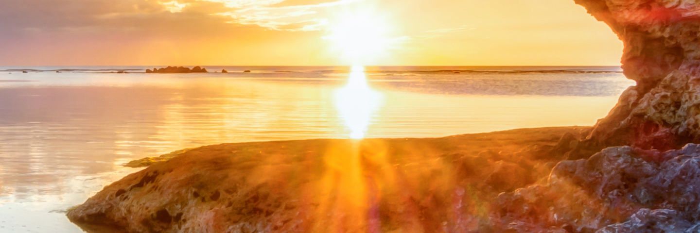 Valentina Mia banner