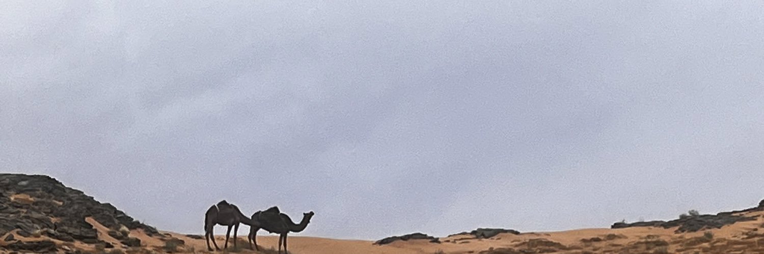 R12HF's profile banner image