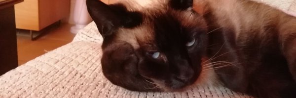 dillon_jaxx Profile Banner