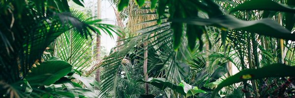 reacticon Profile Banner