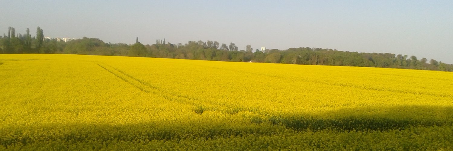 BDamany's profile banner image