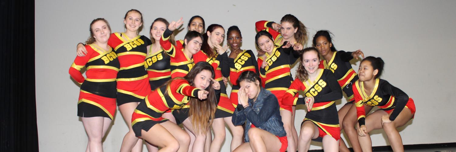 BCSS Cheerleaders banner