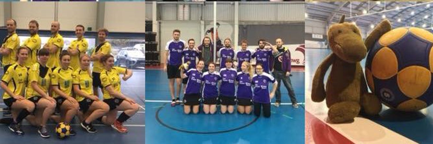 Cardiff Raptors Korfball Club Profile Banner