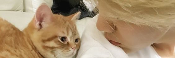 ddalgicha_'s profile banner image