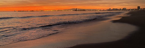 mschecht_bio Profile Banner