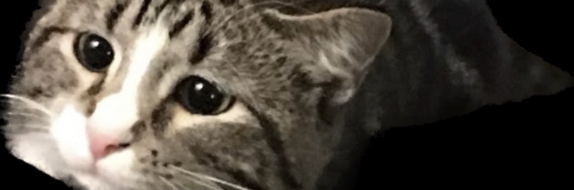 • Em • banner