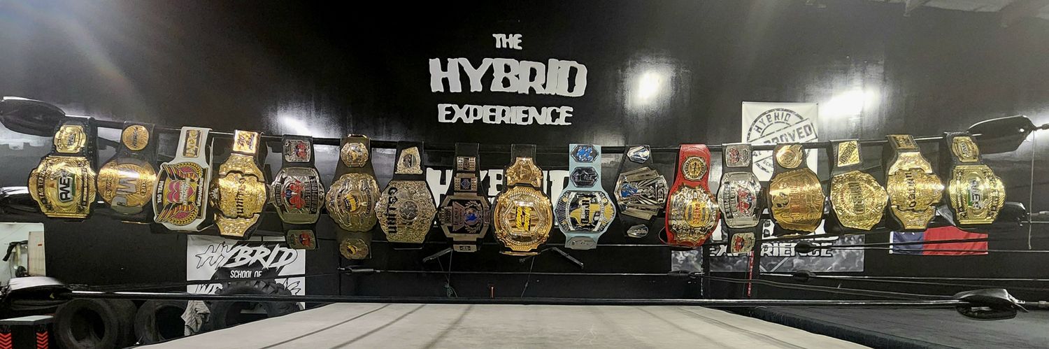 Hybrid School of Wrestling's banner